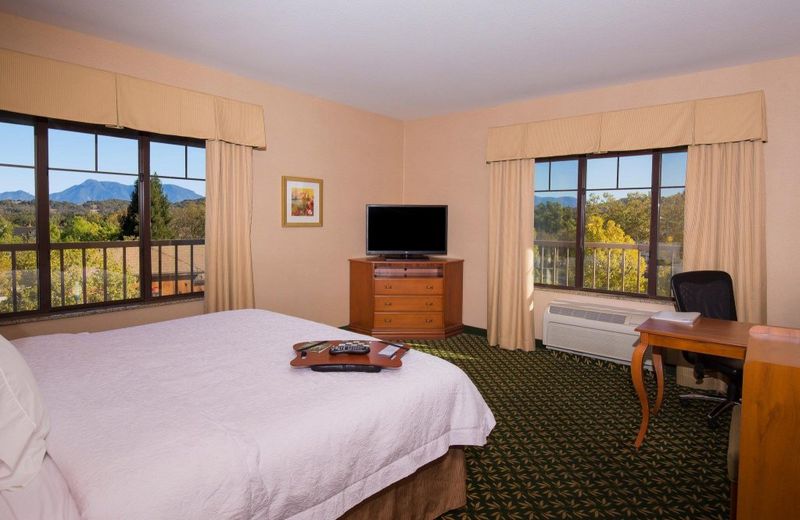 Hampton Inn & Suites Windsor-Sonoma Wine Country