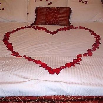 صورة الفندق 1