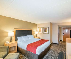 Comfort Inn - NYS Fairgrounds Liverpool United States