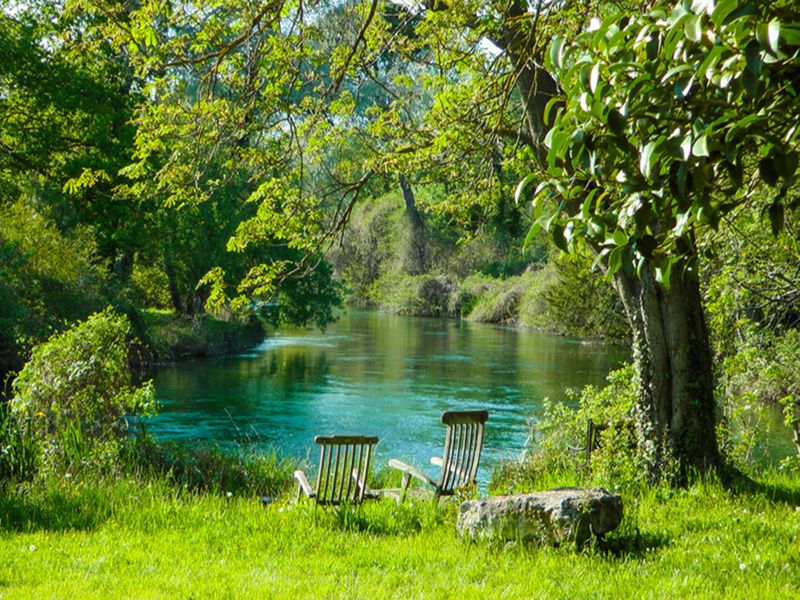صورة الفندق 21