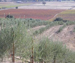 Alta Cresta Orchard & Inn Paso Robles United States