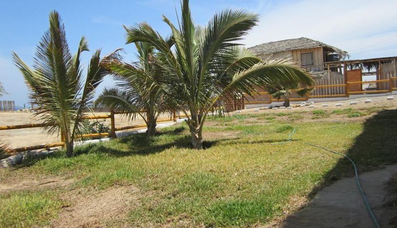 صورة الفندق 1