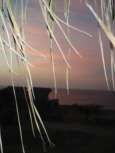 صورة الفندق 22