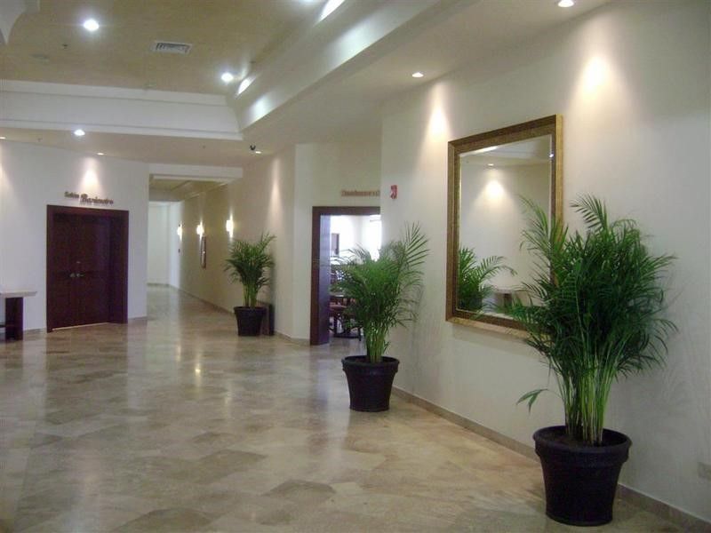 صورة الفندق 14