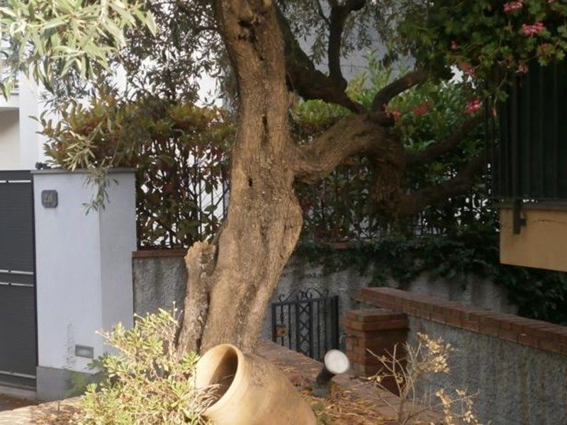 صورة الفندق 13