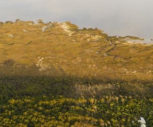 Bushy Point Fernbirds B&B Invercargill New Zealand