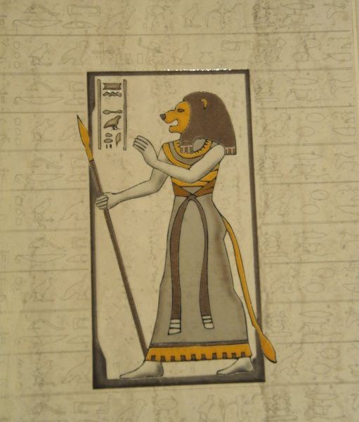صورة الفندق 21