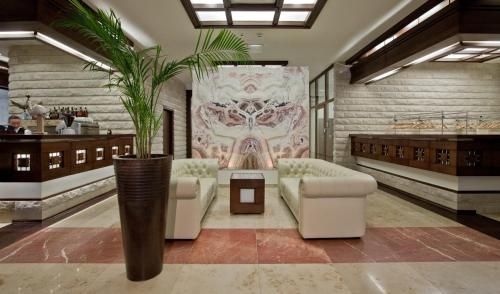 صورة الفندق 8