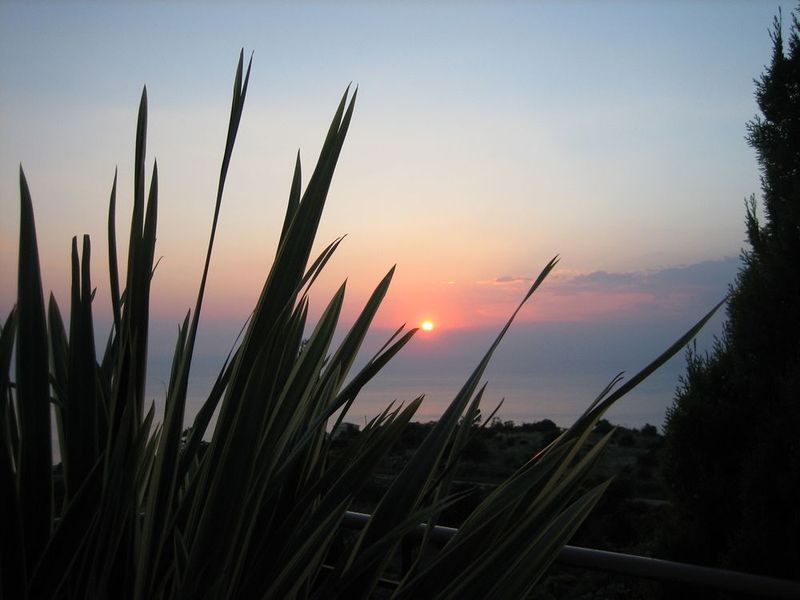 صورة الفندق 21