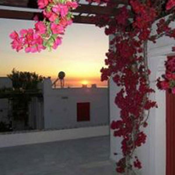 صورة الفندق 12