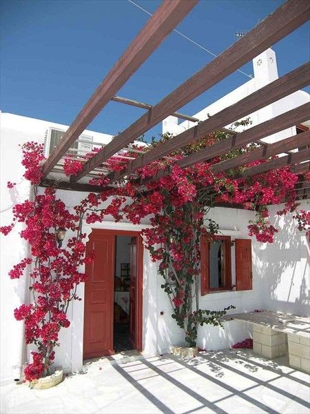 صورة الفندق 20