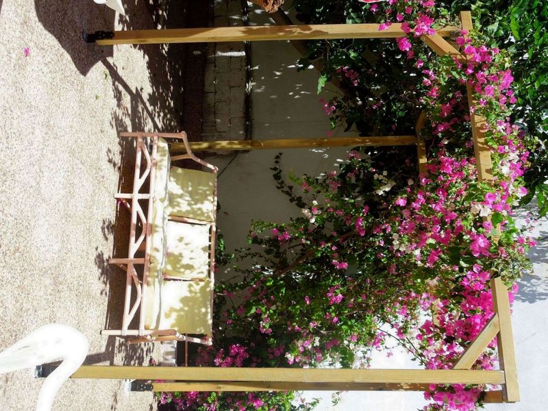 صورة الفندق 12