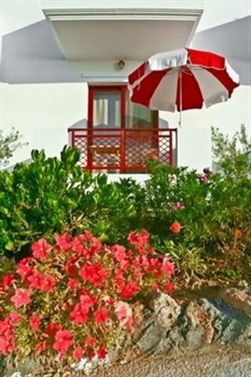 صورة الفندق 21