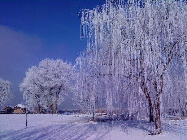 صورة الفندق 16