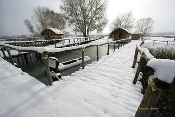 صورة الفندق 24