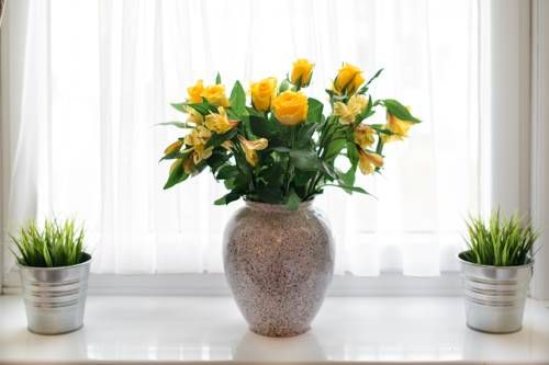 صورة الفندق 19