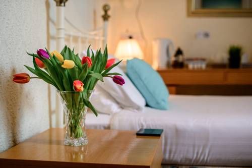 صورة الفندق 20