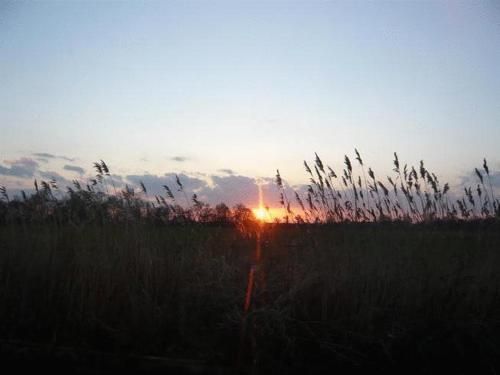 صورة الفندق 21