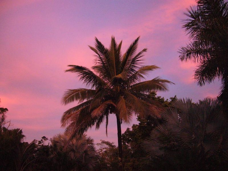 صورة الفندق 1