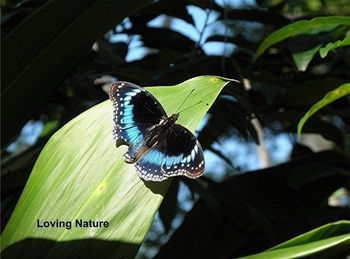 صورة الفندق 22