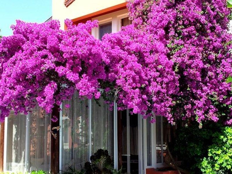 صورة الفندق 22