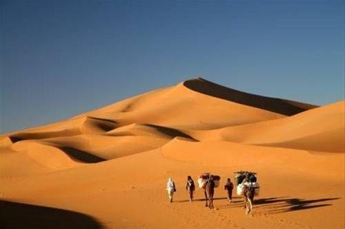 صورة الفندق 18