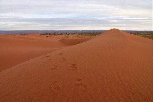صورة الفندق 19