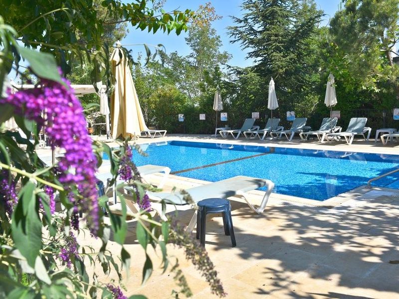 Hotel Photo 21