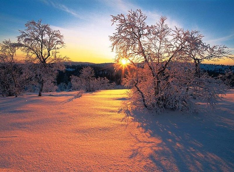 صورة الفندق 20