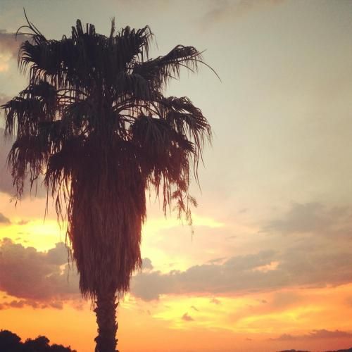 صورة الفندق 19