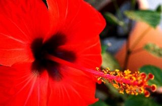 صورة الفندق 14