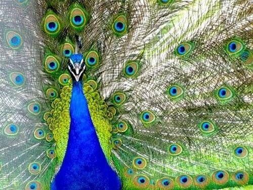 صورة الفندق 17