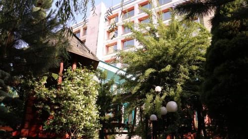 Hotel Photo 23