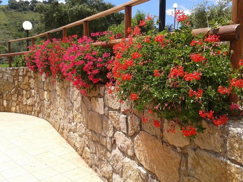 صورة الفندق 7