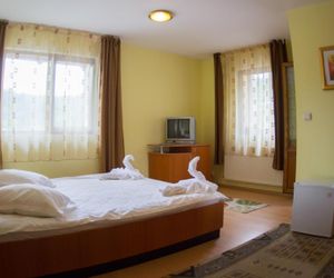 Vila Arizto Sinaia Romania
