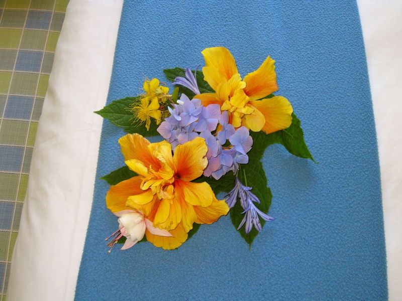 صورة الفندق 12