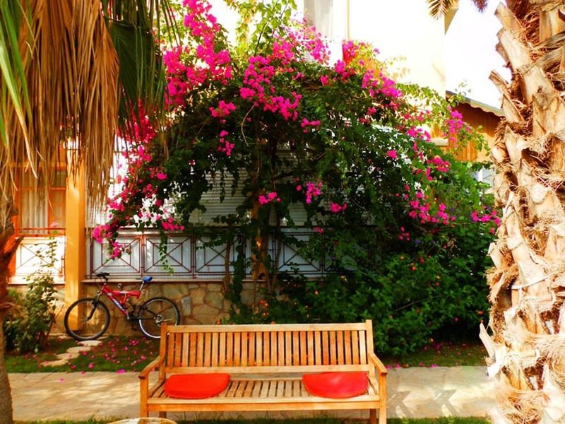 صورة الفندق 18