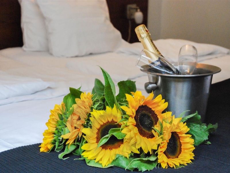 Hotel Photo 11