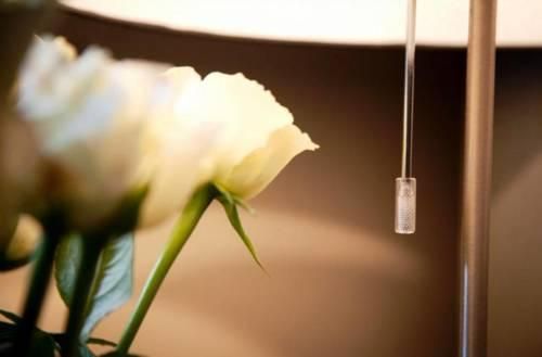 صورة الفندق 18