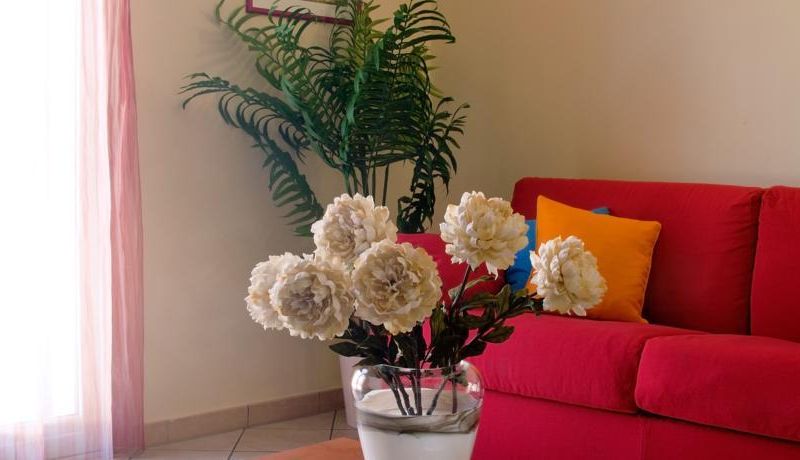 صورة الفندق 16