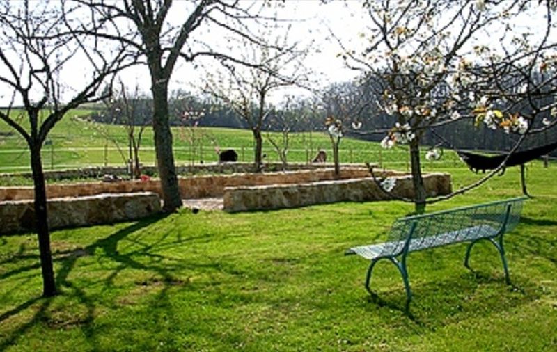 صورة الفندق 13