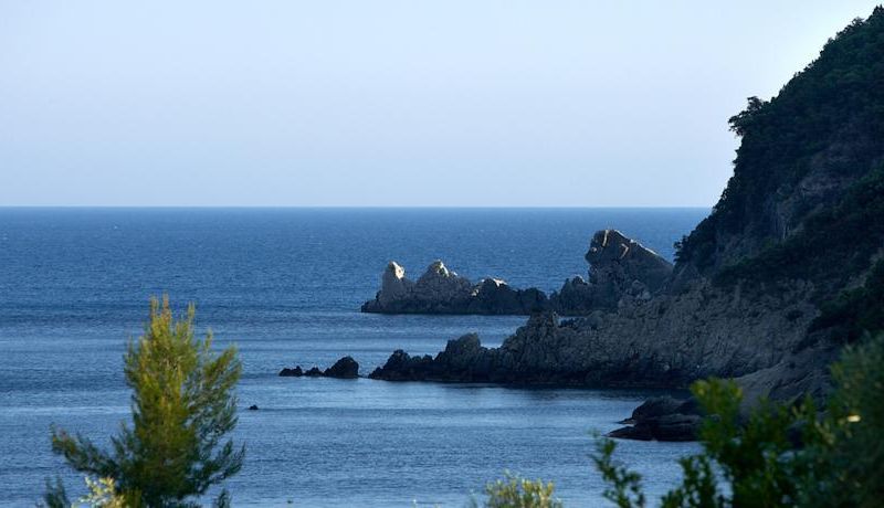 صورة الفندق 17