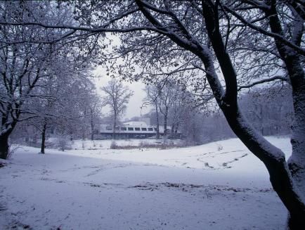صورة الفندق 21