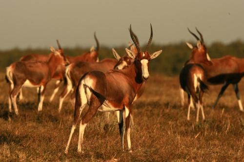صورة الفندق 16
