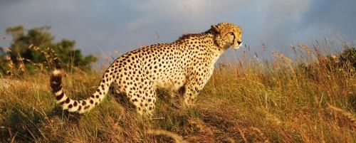 صورة الفندق 20