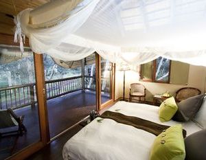 Ubizane Wildlife Reserve Hluhluwe South Africa