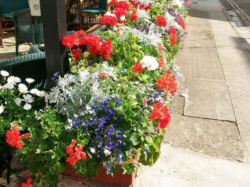 صورة الفندق 20