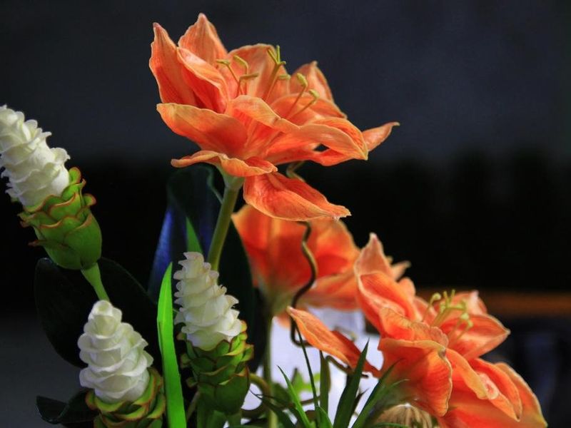 صورة الفندق 22