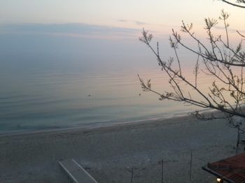 صورة الفندق 13