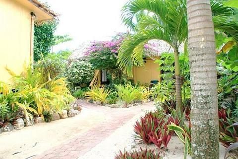 صورة الفندق 21